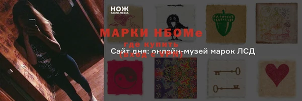 мяу мяу мука Баксан