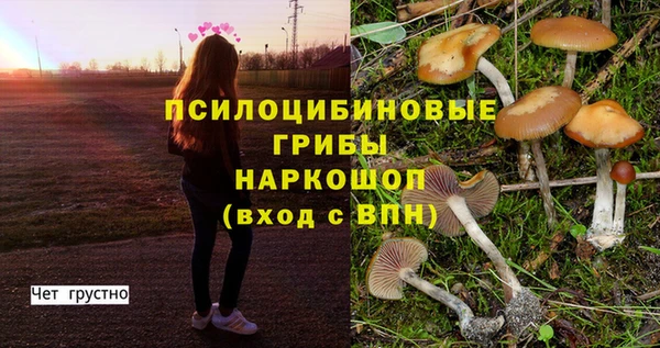 молекула духа Армянск