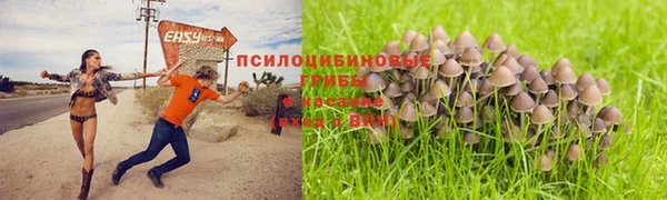 экстази Арсеньев