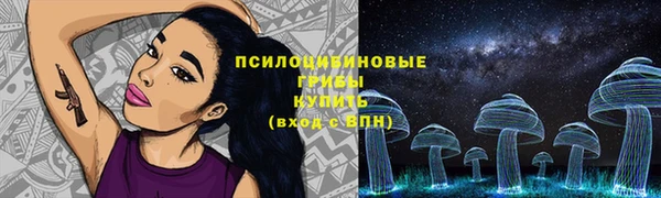 2c-b Аркадак