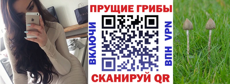 Галлюциногенные грибы MAGIC MUSHROOMS kraken сайт Реутов где найти