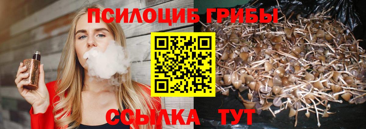 Псилоцибиновые грибы мицелий  Вход с VPN  Реутов 